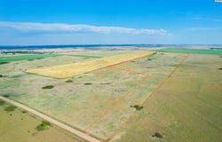 N County Rd, Coldwater, KS 67029