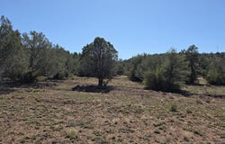 363 & 364 Big View, Ash Fork, AZ 86320