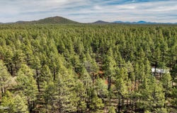 4.74 Acres Birdsong Way, Lakeside, AZ 85929