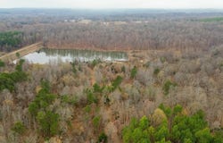 Greenfield, Harrisburg, AR 72432