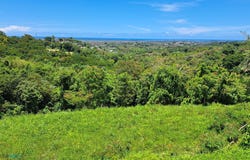 Cienaga Baja, Rio Grande, PR 00745