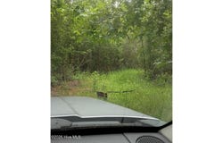 Maules Point Road, Blounts Creek, NC 27814