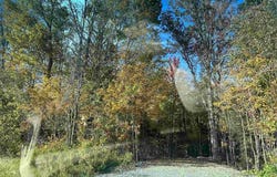 US Route 2, Randolph, NH 03593