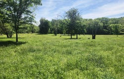 High Drive, Hartville, MO 65667