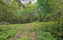 125 Jenkins St, Henderson, TX 75654