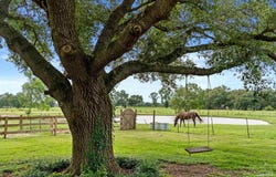 25331 Austin Rd, Daphne, AL 36526