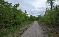 Hollis Drive lot: 7, Kingfield, ME 04947