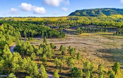 1A FOREST ROAD 26, Alpine, AZ 85920