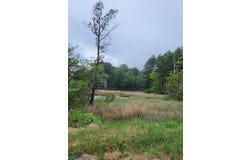 Carlton Road, Wake, VA 23176