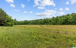 HIGHWAY 191 lot: 107 Acres, MAPLESVILLE, AL 36750