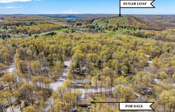2558 E SUGAR MAPLE, CEDAR, MI 49621