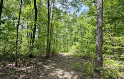 100A Open Fork Road, Morehead, KY 40351