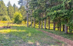 863 C St, Elkton, OR 97436