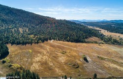 Thimbleberry Lane, Plummer, ID 83851
