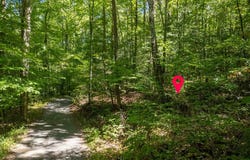 Cold Brook Trl lot: 31, Sylva, NC 28779