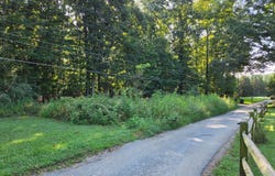 Rolling Hill Drive, Forest, VA 24551