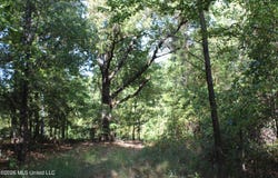 14 Star Landing Road, Nesbit, MS 38651