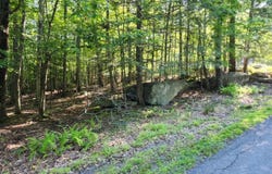 Squaw Valley Lane, Tafton, PA 18464
