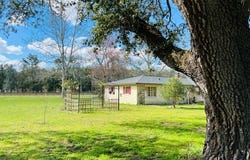 10 SW 50th Ave, Bell, FL 32619