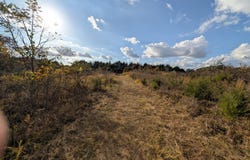 122 Zenar Road, Fordland, MO 65652