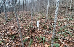 805 Sparkling Falls, Whittier, NC 28789