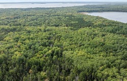 Sandbar Lane lot: H, Merrifield, MN 56465