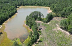 10 COUNTY ROAD 331 lot: 1, MAPLESVILLE, AL 36750