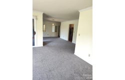 111 BLUFFVIEW Lane, Flat Rock, NC 28731