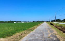 HWY 431, Eufaula, AL 36027