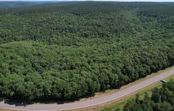 Highway 92, Drasco, AR 72530