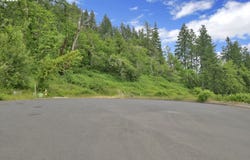 Forest Ridge, Springfield, OR 97478