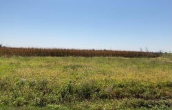 1998 155th Street, Thurman, IA 51654