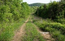Terrace Lane, Cape Fair, MO 65624