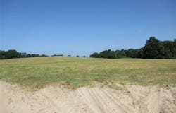 RS COUNTY ROAD 4020, Emory, TX 75440