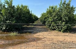 Hemlock Avenue, Porterville, CA 93257
