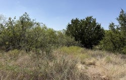 1-4, 5-6 N Grant, Brady, TX 76825