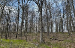 51XX Banyan Drive, Garrison, MN 56450