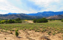 County Rd 142 lot: 34, Medanales, NM 87548