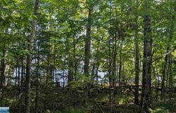 Everett Bay Rd, Tower, MN 55790