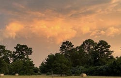 Pr 1315, Centerville, TX 75833