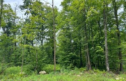 CTH G lot: 15, Pelican Lake, WI 54463