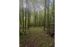 E 68th Street, Chase, MI 49623