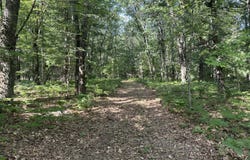 802 Beaver Road, Bitely, MI 49309