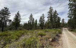 Bunting Dr, Bonanza, OR 97623