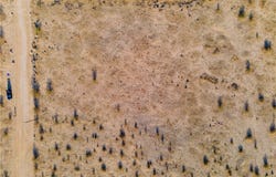 5 Sunflower Road, Joshua Tree, CA 92252