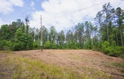 13+/- Acres County Road 51, Greenesboro, AL 36744