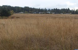 E Brownfield, Sequim, WA 98382
