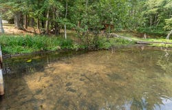 11215 FOX FIRE RD, Woodruff, WI 54568