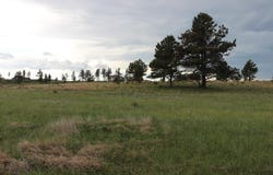 Tract 4 Lariat Circle, Hot Springs, SD 57747-0000