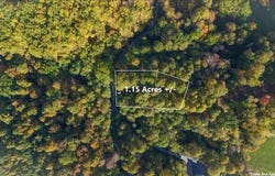 Eagle Ridge Road, Roan Mountain, TN 37687